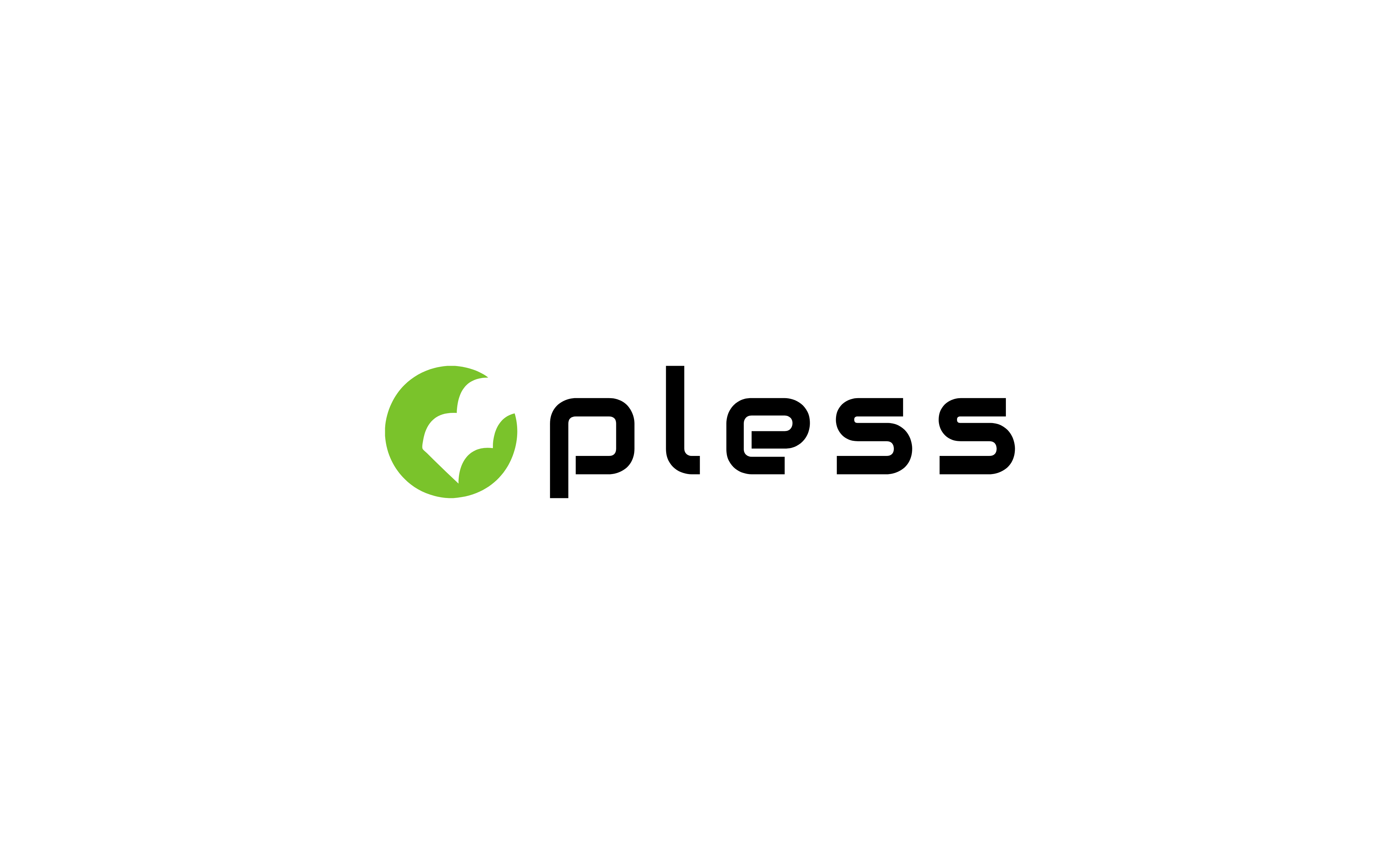 Pless Consulting Kft.